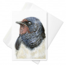 Tracey Parsons Swallow greeting card