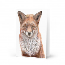 Tracey Parsons Fox greeting card